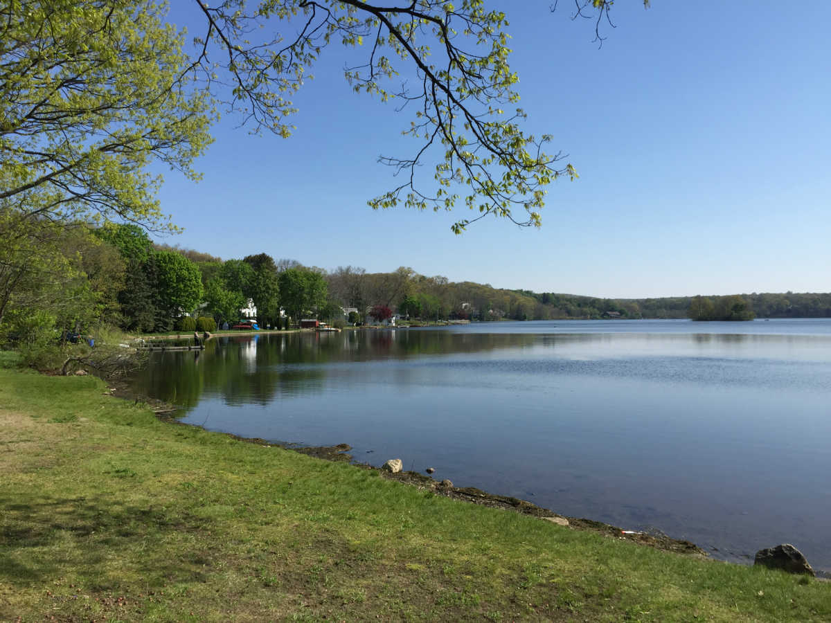 black forest in stanhope new jersey