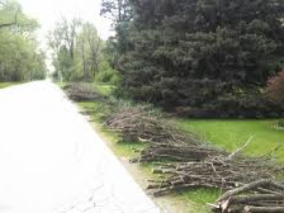 Brush Pick-Up For All Routes