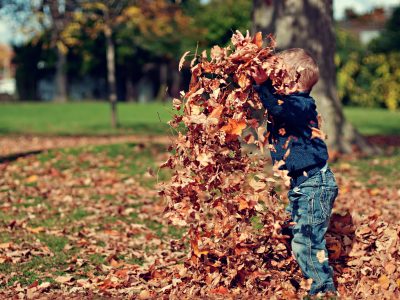 Leaf Collection Route #2